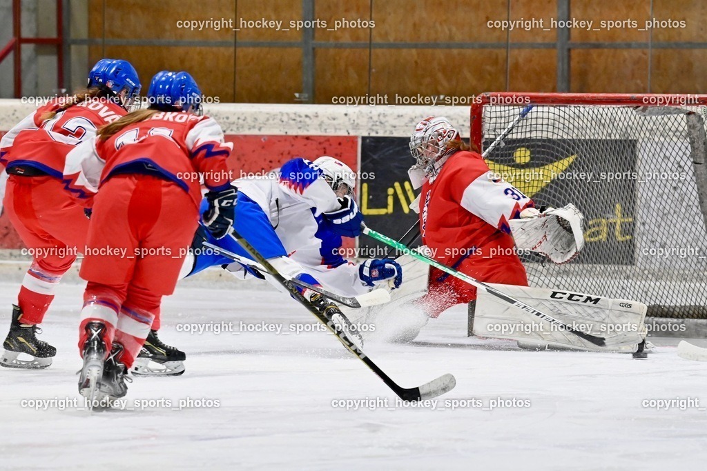 BST_5622 | hockey sports photos, Pressefotos, Sportfotos, hockey247, win 2day icehockeyleague, Handball Austria, Floorball Austria, ÖVV, Kärntner Eishockeyverband, KEHV, KFV, Kärntner Fussballverband, Österreichischer Volleyballverband, Alps Hockey League, ÖFB, 