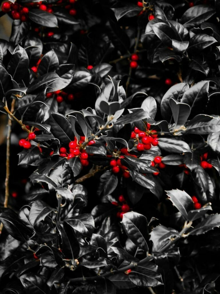 PSX_20230102_224603 | mtkfoto_ - Realisiert mit Pictrs.com