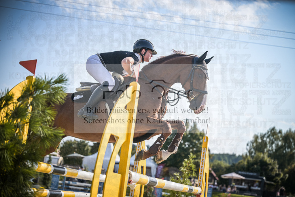 DOS_0151 | Entdecke hochwertige Reitturnierfotos von Foto Oger. Professionell, emotional und authentisch – jetzt Lieblingsmomente im Shop bestellen.Deutschlandweite Turnierfotografie. - Realisiert mit Pictrs.com