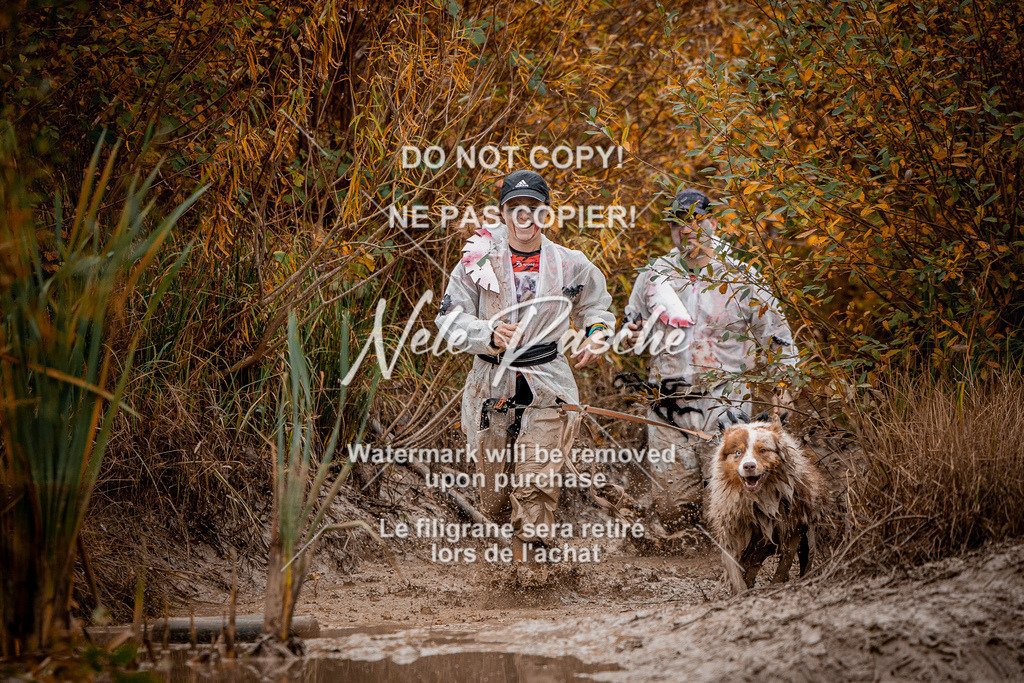 nelerasche_Creepy2025_Sa11-12_98 | nelerasche