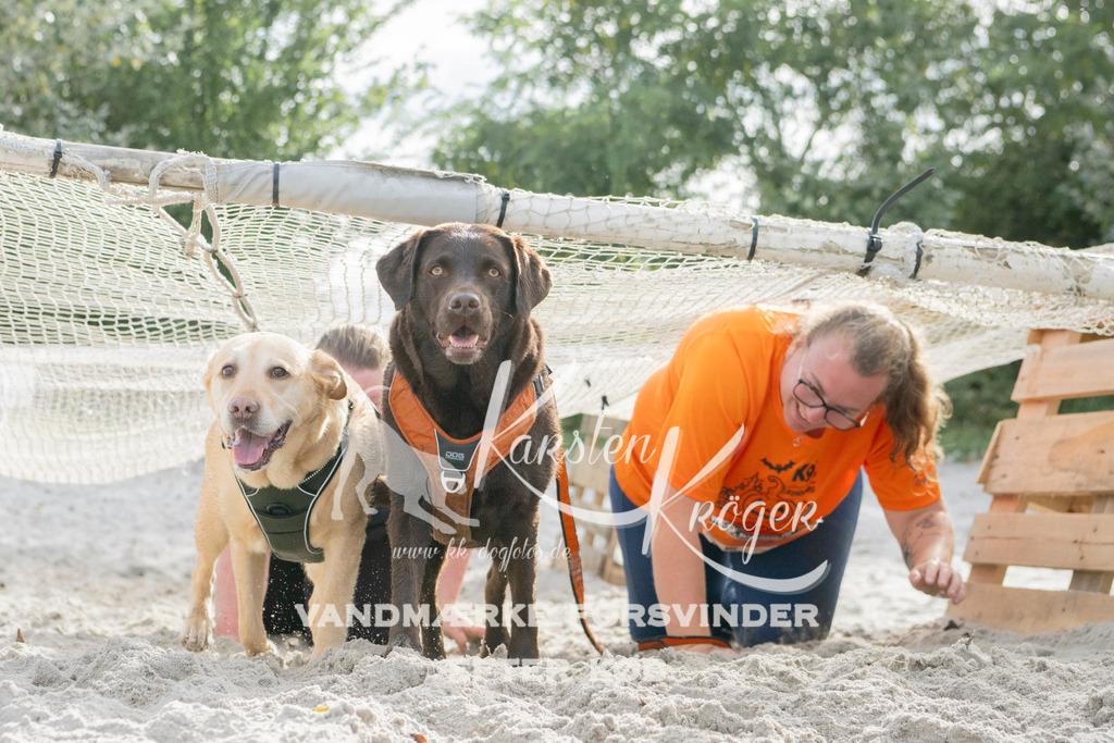 1336_ZZ97948 | kk-dogfotos