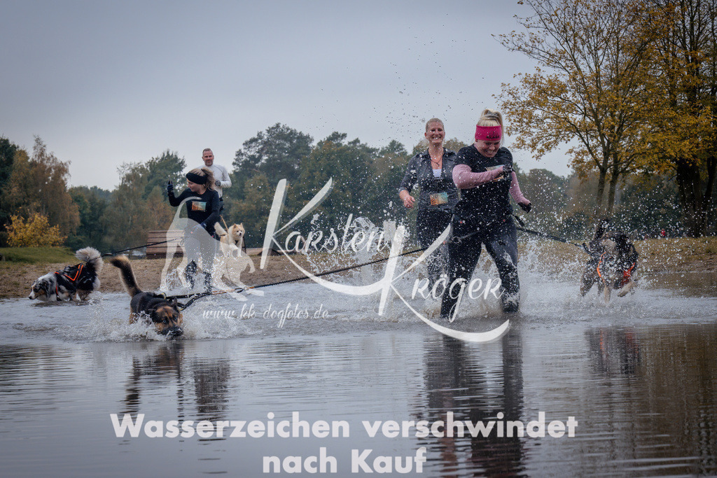 1217_ZZ99046 | kk-dogfotos