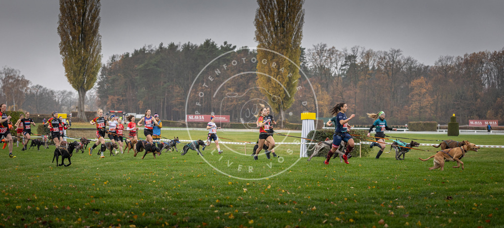 CaniXpix_DV3A8780 | Hundefotografie, Tierfotograf, Pfotenfotografie, Fotoshooting Hund, Hunde Portrait, Hundesport, Hundeportraits, Heideshooting, Hunde, Sportfotograf, Hundefotograf, Turnierhundsport, THS,  - Realisiert mit Pictrs.com