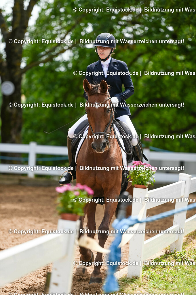 20230716_03_Dressurprfg. Kl.L - Tr._0393 | equistock