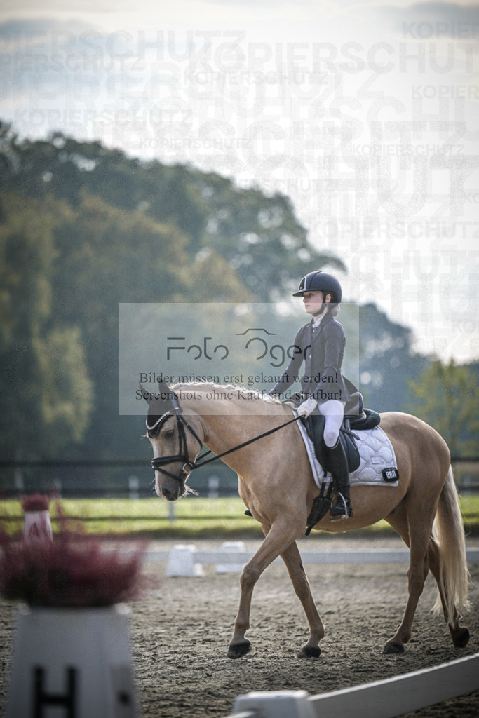 DOS_4717 | Entdecke hochwertige Reitturnierfotos von Foto Oger. Professionell, emotional und authentisch – jetzt Lieblingsmomente im Shop bestellen.Deutschlandweite Turnierfotografie. - Realisiert mit Pictrs.com