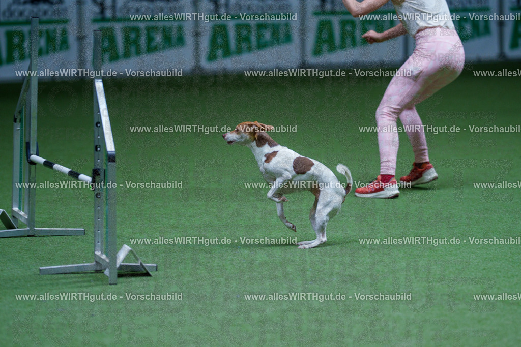 @allesWIRTHgut_Tierfotografie - www.allesWIRTHgut.de - 2604251255-7R503090 | Professionelle Tierfotografie in Mönchengladbach von Daniel Wirth (allesWIRTHgut). Liebevolle & natürliche Bilder von Hunden & Katzen für unvergessliche Erinnerungen.
