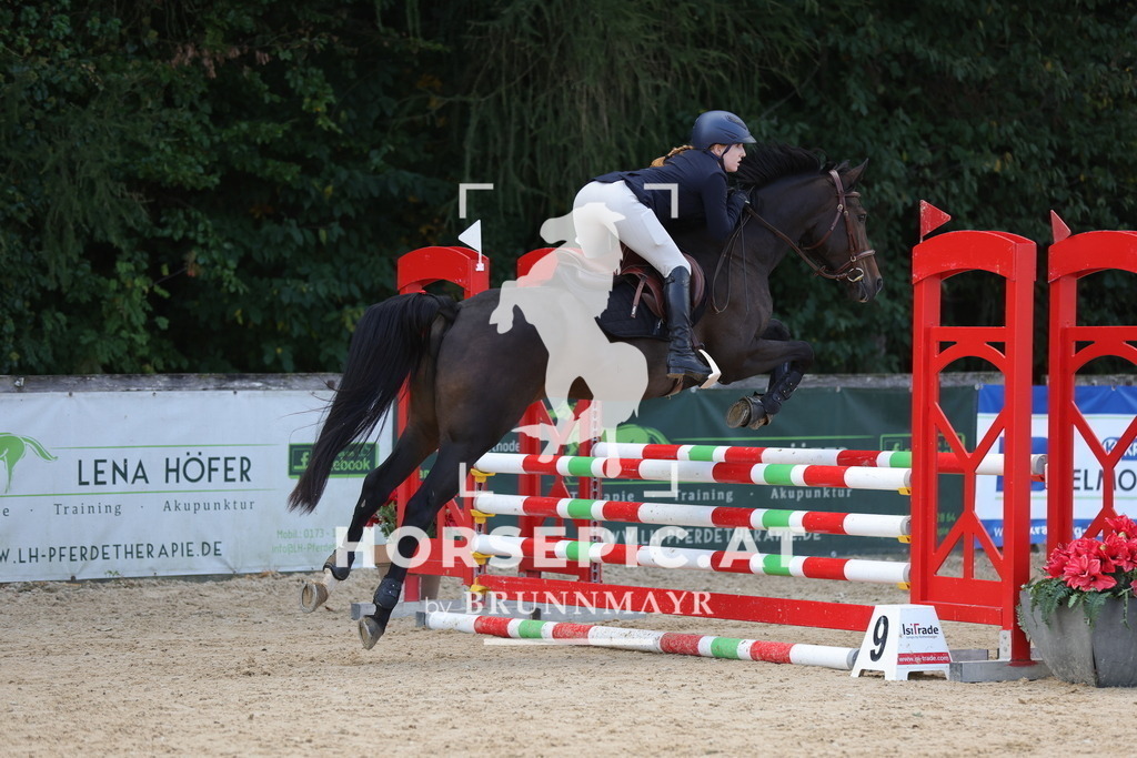 0P6A1673 | Willkommen bei Brunnmayr - Design & Fotografie – Ihrem Spezialisten für Reitturniere und Pferdeveranstaltungen in Oberösterreich, Salzburg und Bayern! Seit über 17 Jahren sind wir leidenschaftlich dabei.
