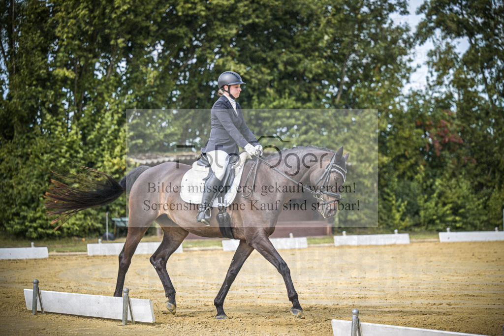 DOS_4776 | Entdecke hochwertige Reitturnierfotos von Foto Oger. Professionell, emotional und authentisch – jetzt Lieblingsmomente im Shop bestellen.Deutschlandweite Turnierfotografie. - Realisiert mit Pictrs.com