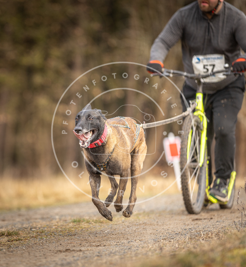DV3A3490 | Hundefotografie, Tierfotograf, Pfotenfotografie, Fotoshooting Hund, Hunde Portrait, Hundesport, Hundeportraits, Heideshooting, Hunde, Sportfotograf, Hundefotograf, Turnierhundsport, THS,  - Realisiert mit Pictrs.com