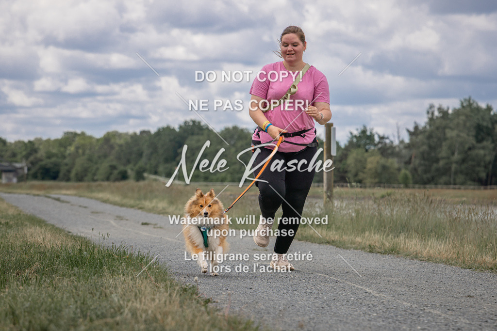 nelerasche_BuHu2026_SaCC1100-1200_112 | nelerasche