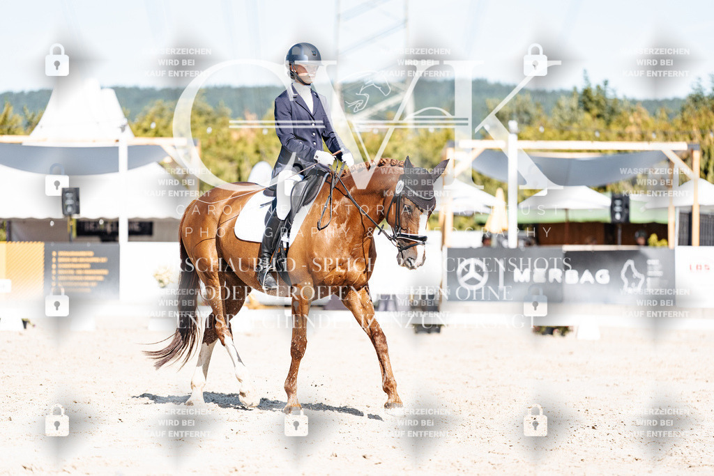 CK908455 | Turnierfotografie Pferdefotografie Trier Rheinland-Pfalz Pferdesport Reitsport Tierfotografie Sportfotografie Pferdevideo Pferdevideografie Equestrianvideography equestrianphotography  - Realisiert mit Pictrs.com