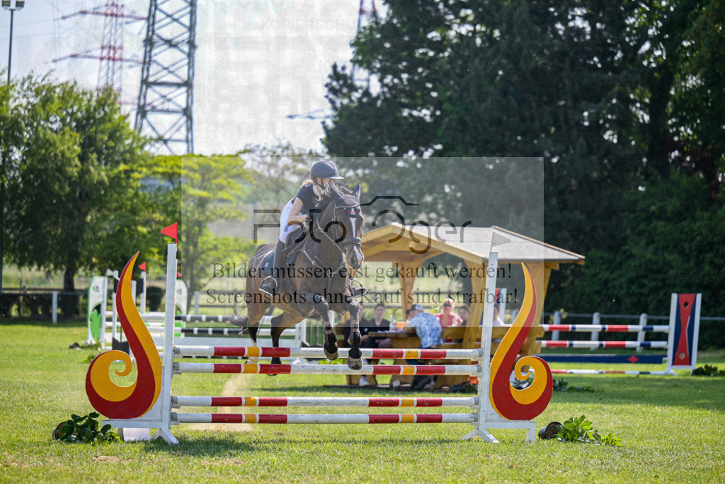 Reitturnier Voxtrup | Entdecke hochwertige Reitturnierfotos von Foto Oger. Professionell, emotional und authentisch – jetzt Lieblingsmomente im Shop bestellen.Deutschlandweite Turnierfotografie. - Realisiert mit Pictrs.com