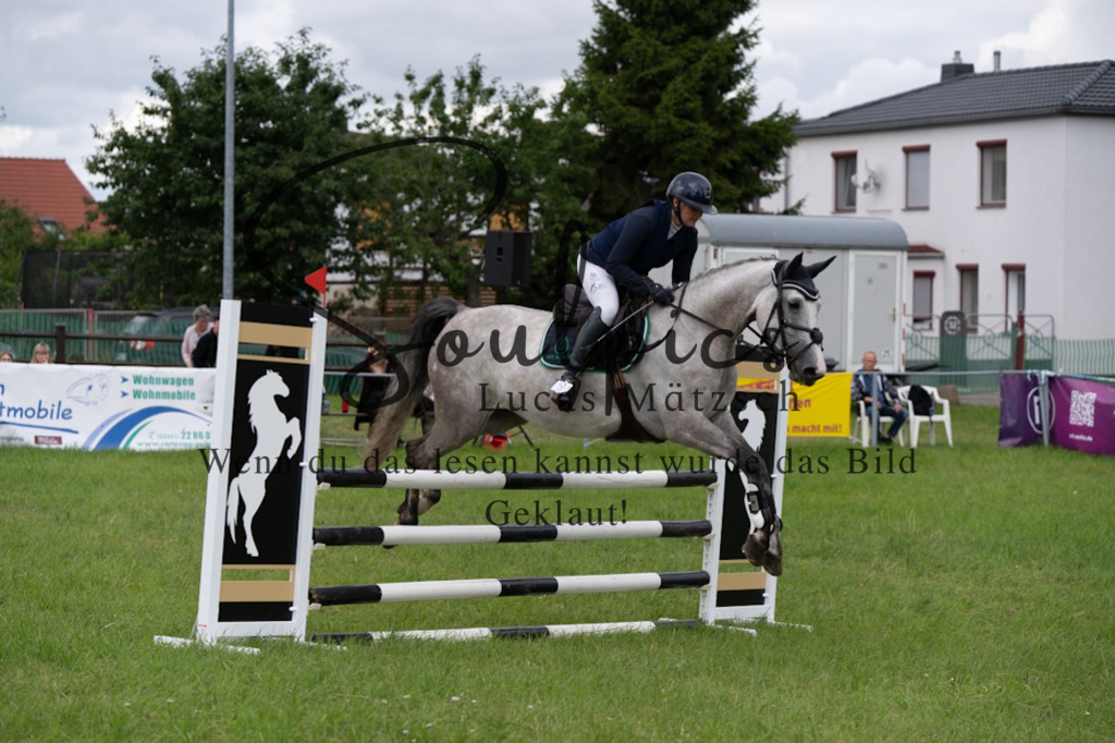 A7V04030 | Pferdefotograf