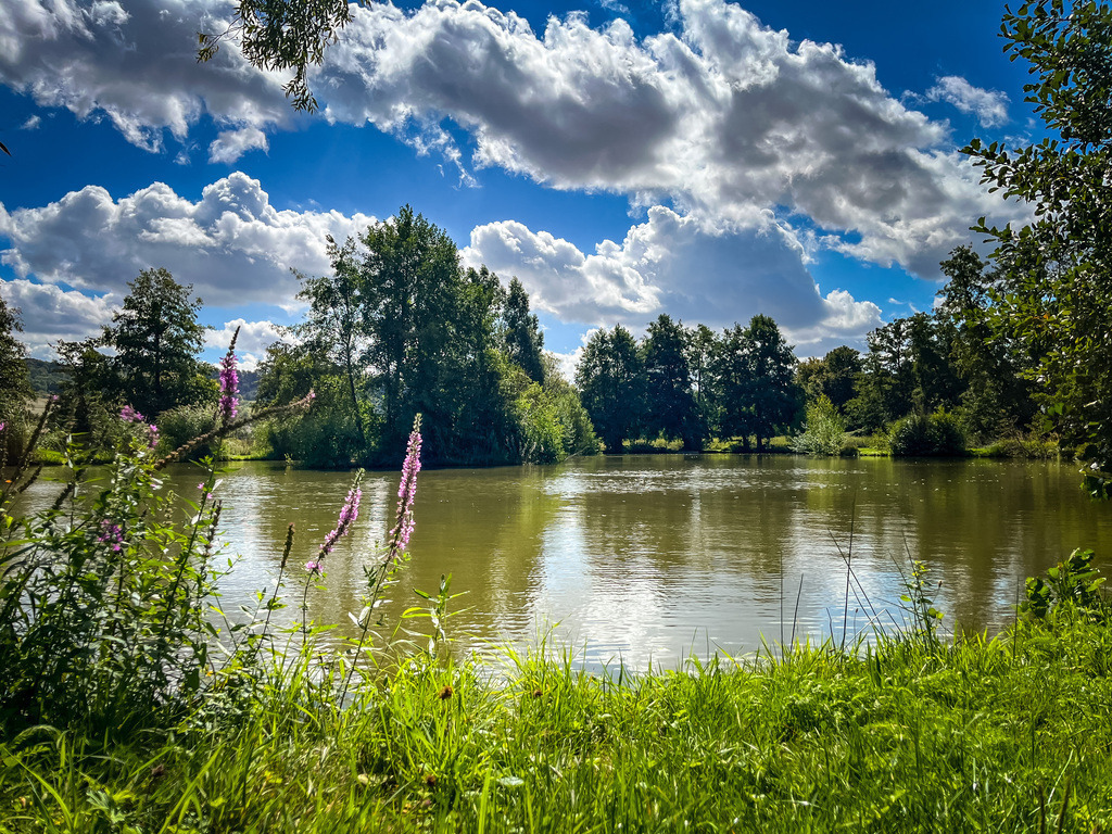 Gezähmte Wildnis - Stockheim | Im Hessel-Auengebiet bei Stockheim versteckt sich ein liebevoll gepflegter Fischteich. Das Areal grenzt an ein Schutzgebiet mit großem Naturteich. Gemeinsam zeigen die beiden Gewässer den Kontrast zwischen ungezügelter Wildnis und von Menschen gepflegter Zierde. Beide Varianten prägen das Ambiente und zeigen auf ihre Art die Schönheit der Natur. - Realisiert mit Pictrs.com