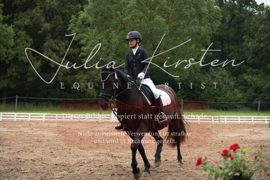 DSC_9978 | Pferde- und Turnierfotografie in Westsachsen. Pferdeportraits, Auftragszeichnungen und intuitive Kunst.
