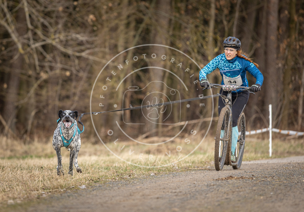 DV3A4645 | Hundefotografie, Tierfotograf, Pfotenfotografie, Fotoshooting Hund, Hunde Portrait, Hundesport, Hundeportraits, Heideshooting, Hunde, Sportfotograf, Hundefotograf, Turnierhundsport, THS,  - Realisiert mit Pictrs.com