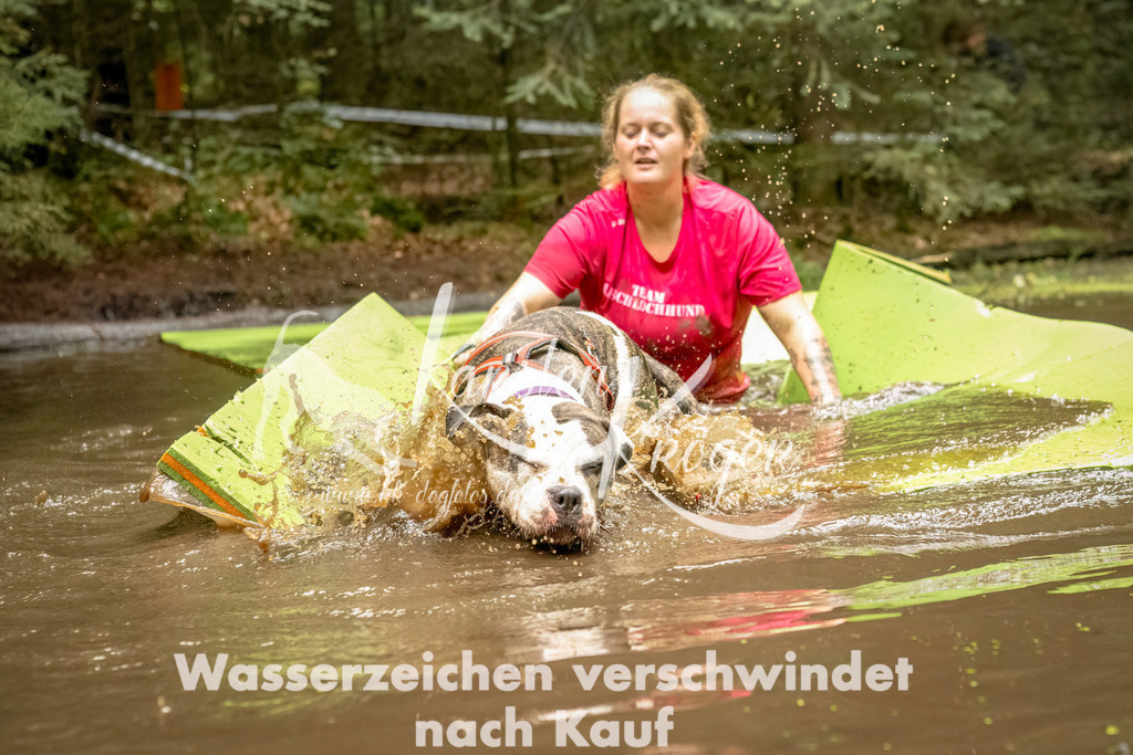 1426_ZZ92448-Bearbeitet | kk-dogfotos