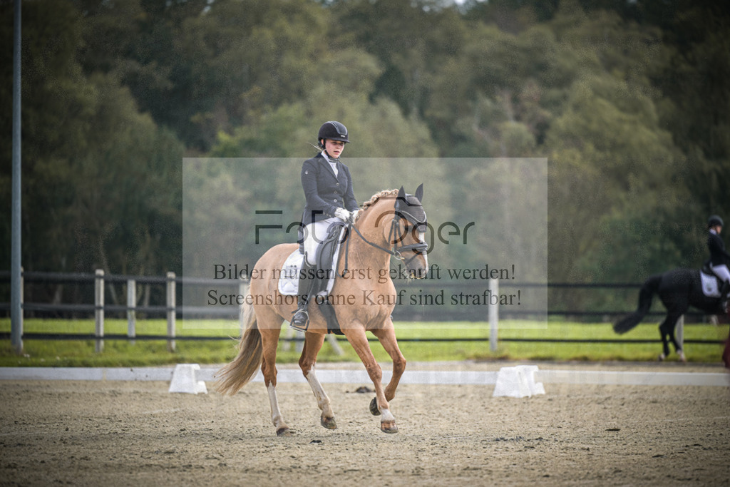 DOS_B545 | Entdecke hochwertige Reitturnierfotos von Foto Oger. Professionell, emotional und authentisch – jetzt Lieblingsmomente im Shop bestellen.Deutschlandweite Turnierfotografie. - Realisiert mit Pictrs.com