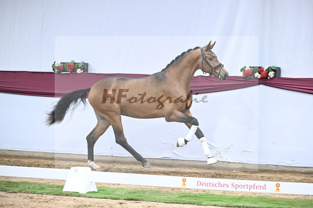 Kat-Nr. 45 Velvedere x Goldberg_Franz-Josef Kleinekoerdt_47251603 | hf-fotografie - Realisiert mit Pictrs.com