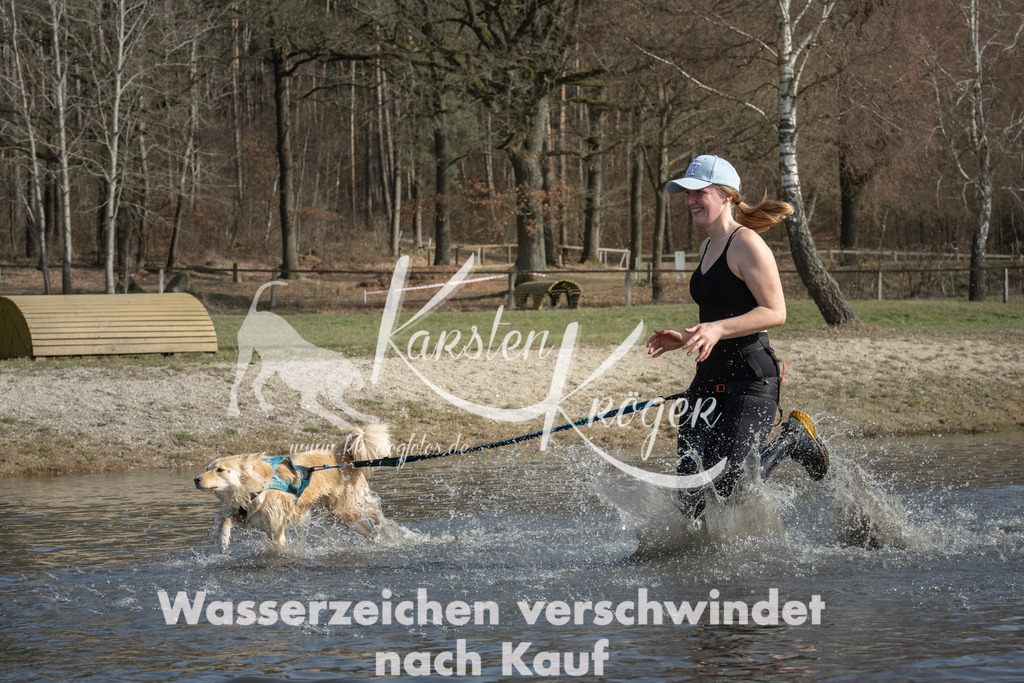 1306_ZZ94679 | kk-dogfotos