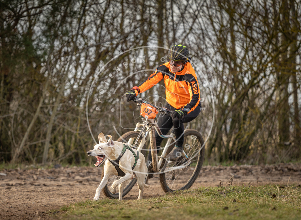 Pfotenfotografie_DV3A8233 | Hundefotografie, Tierfotograf, Pfotenfotografie, Fotoshooting Hund, Hunde Portrait, Hundesport, Hundeportraits, Heideshooting, Hunde, Sportfotograf, Hundefotograf, Turnierhundsport, THS,  - Realisiert mit Pictrs.com