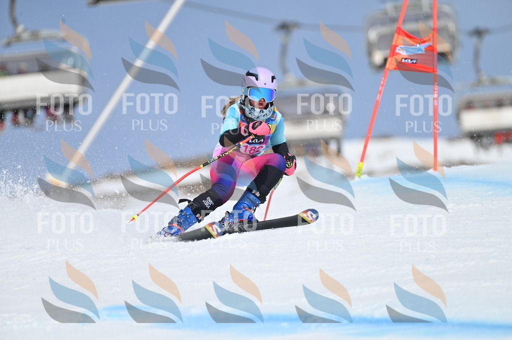 BGV_0650 | holidayphoto