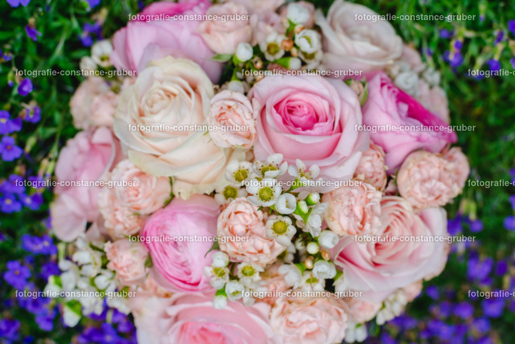 1023 | Fotografie Constance Gruber - Realisiert mit Pictrs.com