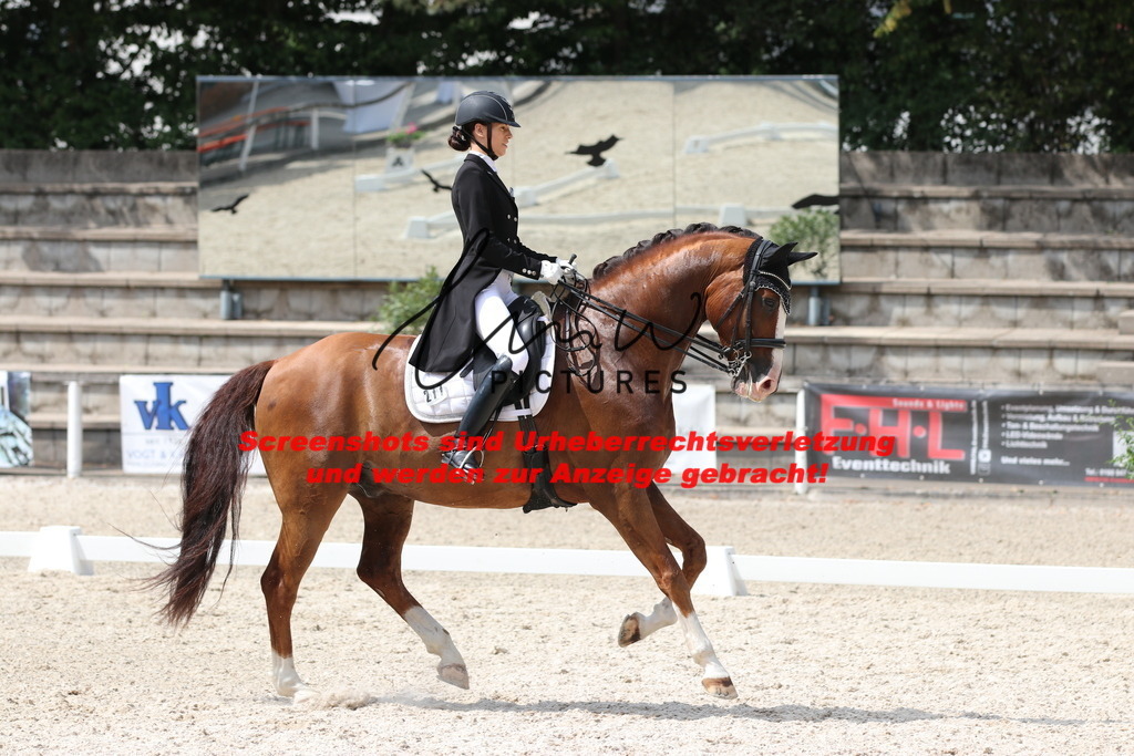 IMG_7077 | lmwpictures - Realisiert mit Pictrs.com