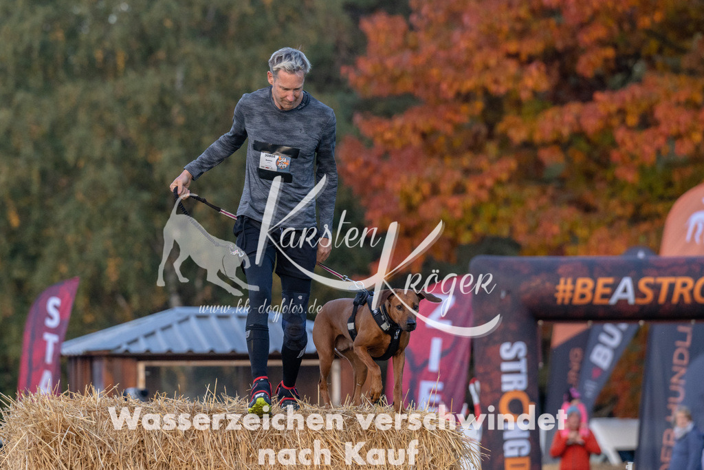 0845_ZZ91287 | kk-dogfotos