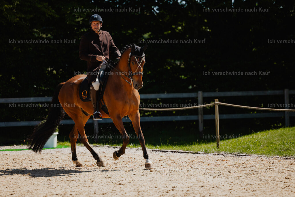Gernot25_FHC2025-26984 | working equitationturnier fotograf videograf stoibphotography marixx film working equitation deutschland reitsport turnierfotografie eventfotografie equestrian events