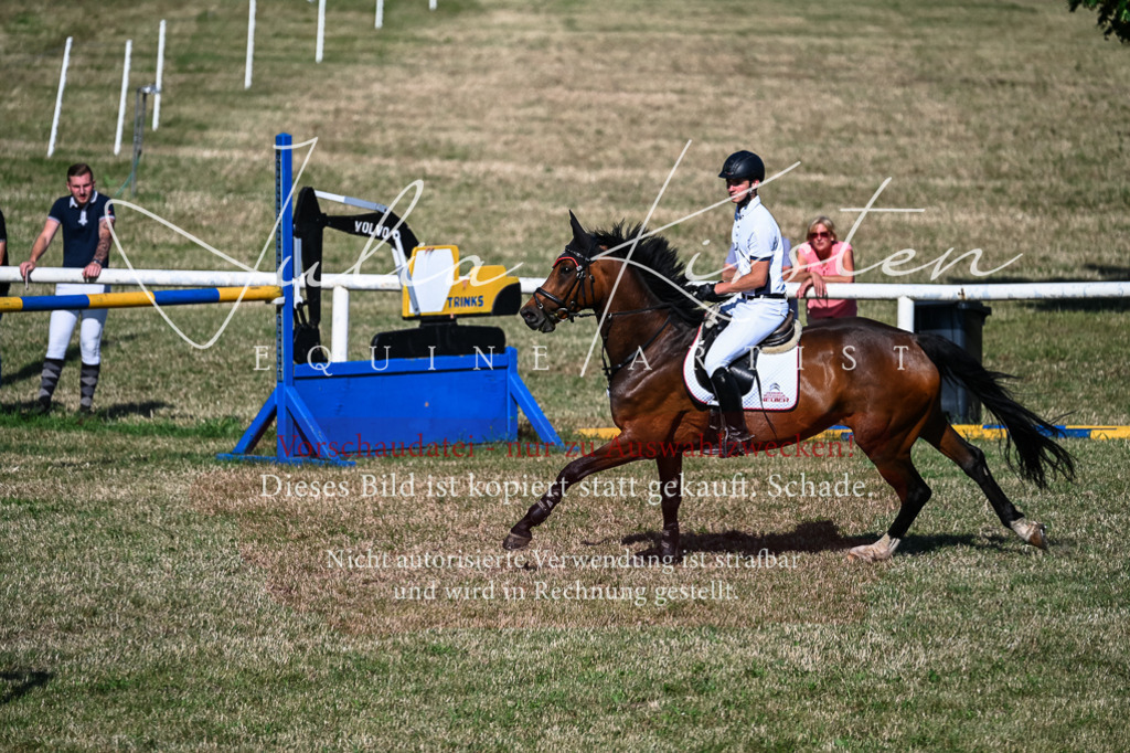 DSC_2521 | Pferde- und Turnierfotografie in Westsachsen. Pferdeportraits, Auftragszeichnungen und intuitive Kunst.