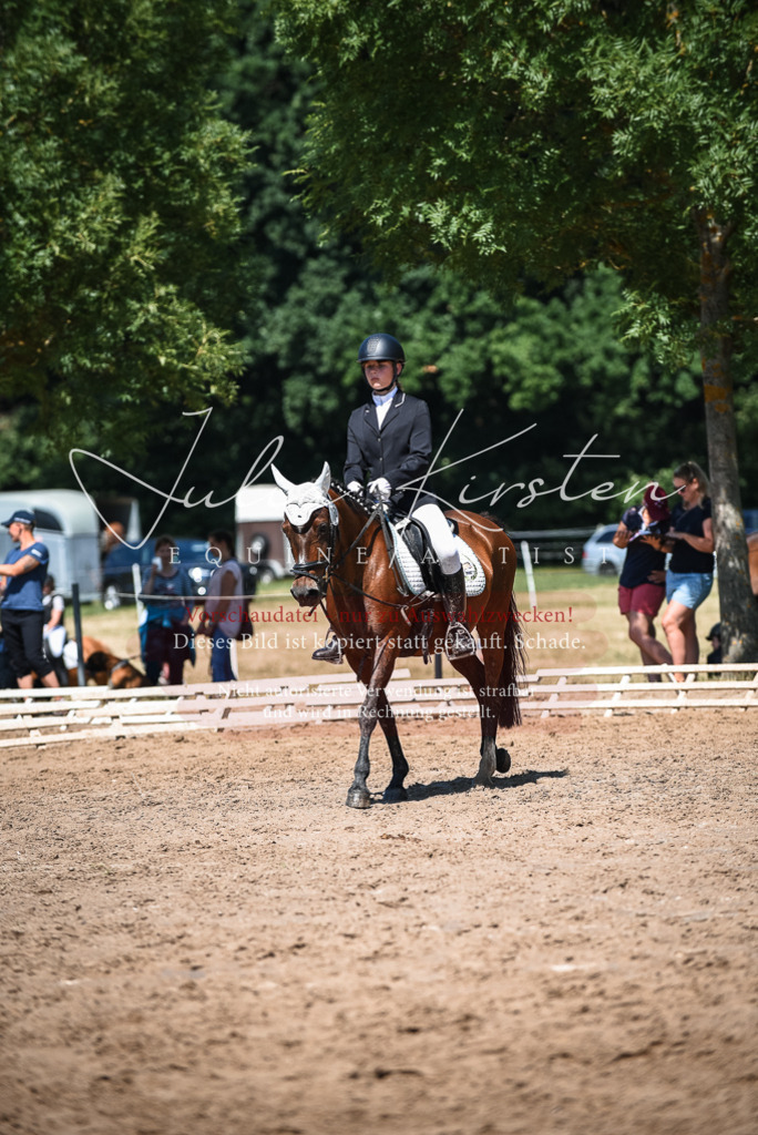 DSC_3058 | Pferde- und Turnierfotografie in Westsachsen. Pferdeportraits, Auftragszeichnungen und intuitive Kunst.
