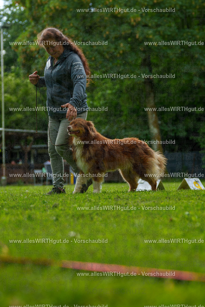 @allesWIRTHgut_Tierfotografie - www.allesWIRTHgut.de - 7R505120 | Professionelle Tierfotografie in Mönchengladbach von Daniel Wirth (allesWIRTHgut). Liebevolle & natürliche Bilder von Hunden & Katzen für unvergessliche Erinnerungen.