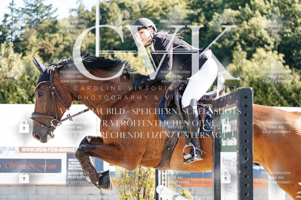 CK907732 | Turnierfotografie Pferdefotografie Trier Rheinland-Pfalz Pferdesport Reitsport Tierfotografie Sportfotografie Pferdevideo Pferdevideografie Equestrianvideography equestrianphotography  - Realisiert mit Pictrs.com