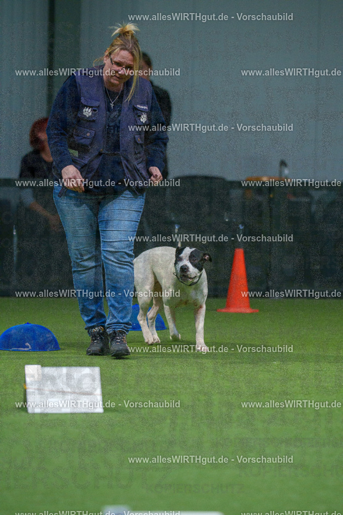 7R507758 | Professionelle Tierfotografie in Mönchengladbach von Daniel Wirth (allesWIRTHgut). Liebevolle & natürliche Bilder von Hunden & Katzen für unvergessliche Erinnerungen.