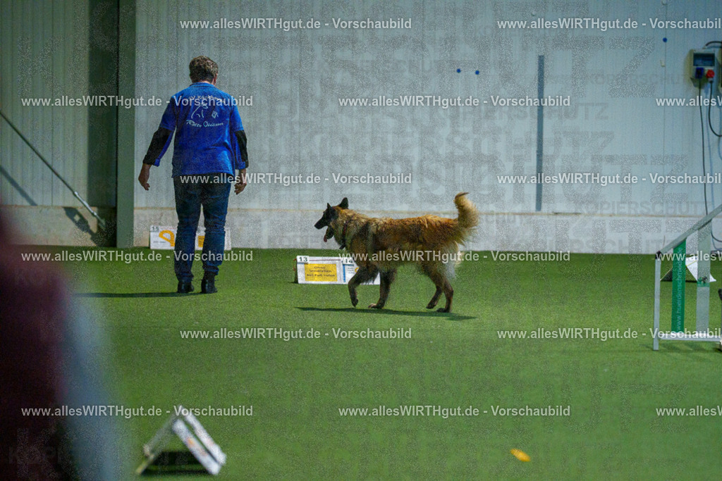 7R502580 | Professionelle Tierfotografie in Mönchengladbach von Daniel Wirth (allesWIRTHgut). Liebevolle & natürliche Bilder von Hunden & Katzen für unvergessliche Erinnerungen.
