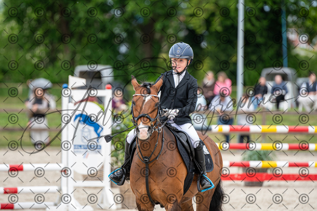 KPT_6345 | andre_photographic