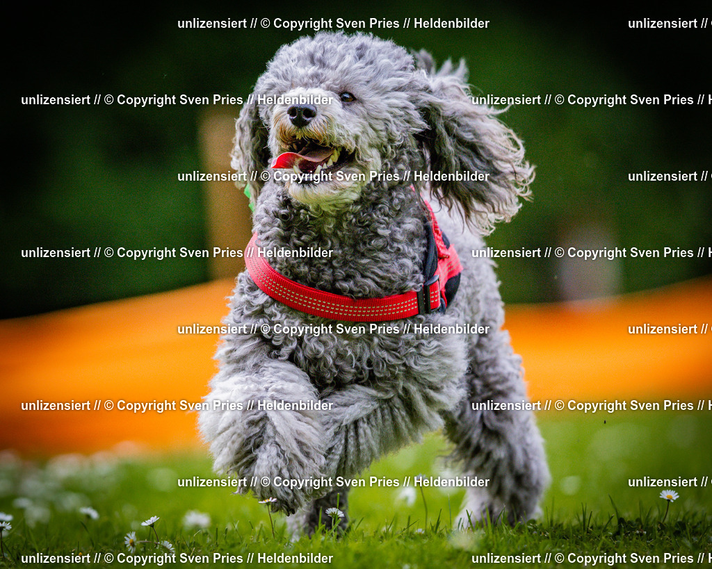 Sven Pries | 2025-05-29 - Pudelrennen KA-Durlach - Realisiert mit Pictrs.com