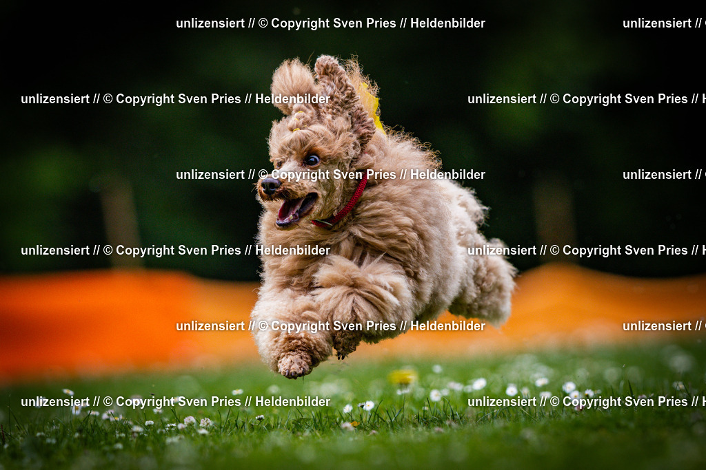 Sven Pries | 2025-05-29 - Pudelrennen KA-Durlach - Realisiert mit Pictrs.com