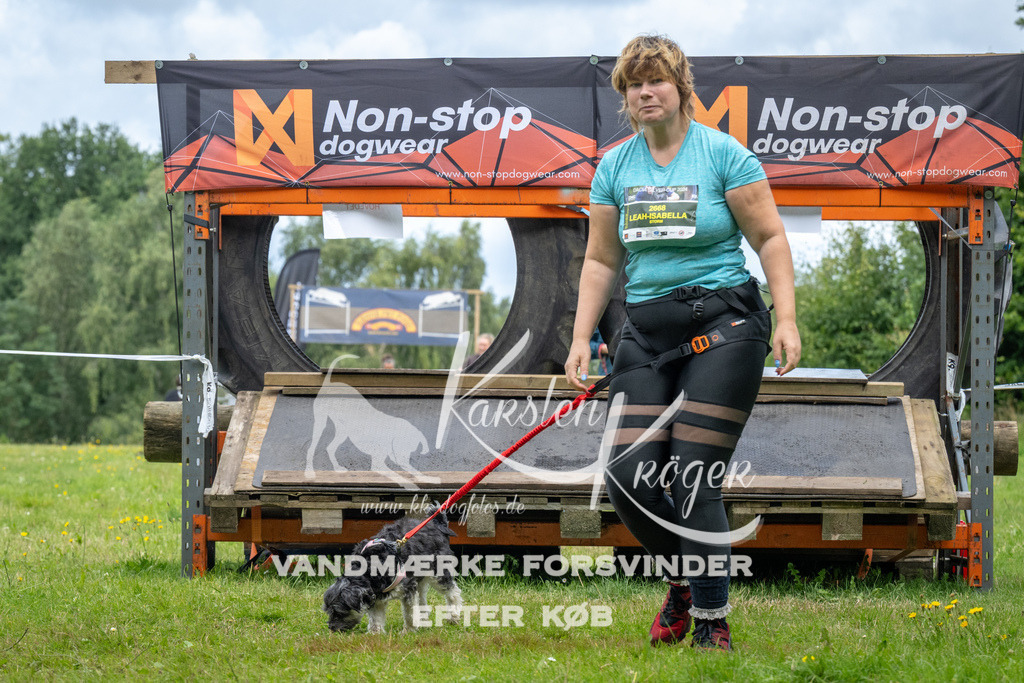 1235_ZZ94173 | kk-dogfotos