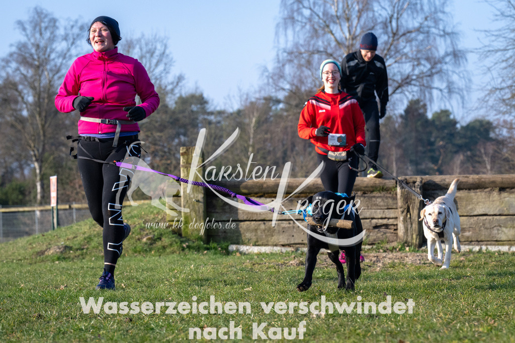 _ZZ92716 | kk-dogfotos