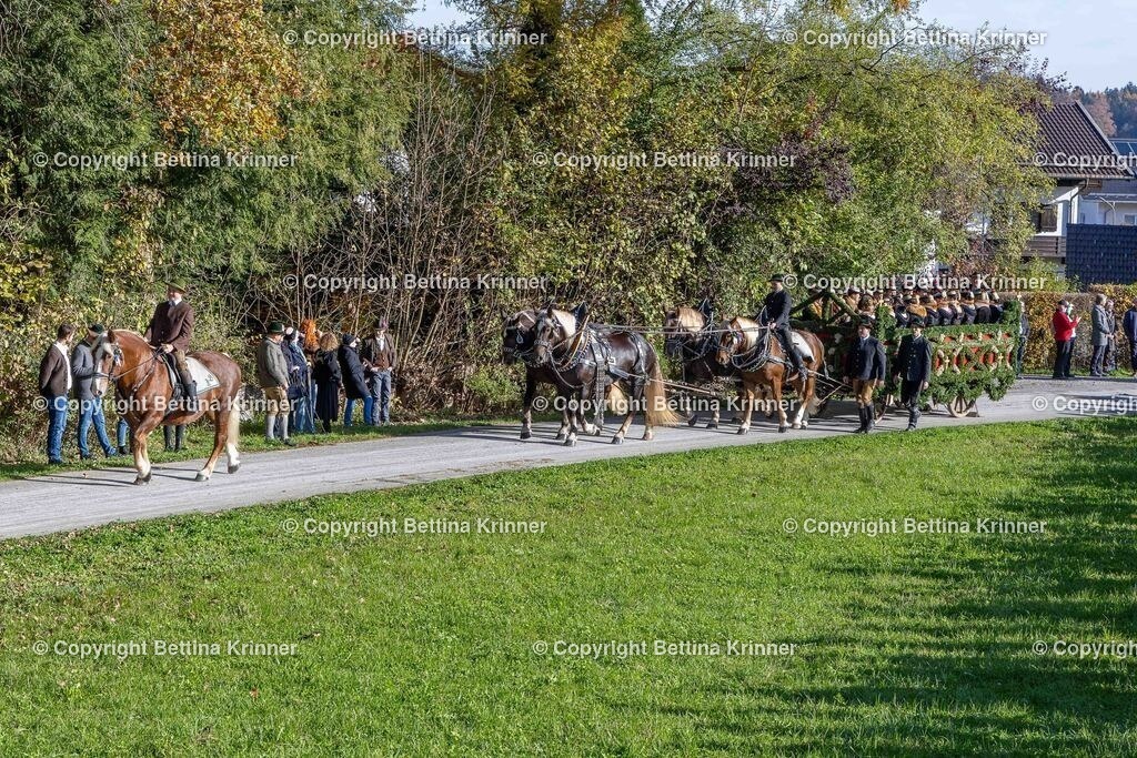 LBT24-730 | foto-bettina-krinner - Realisiert mit Pictrs.com