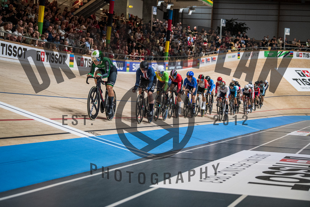 DKP-1895 | Drew Kaplan Photography