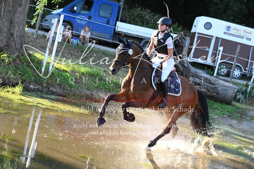DSC_9169 | Pferde- und Turnierfotografie in Westsachsen. Pferdeportraits, Auftragszeichnungen und intuitive Kunst.