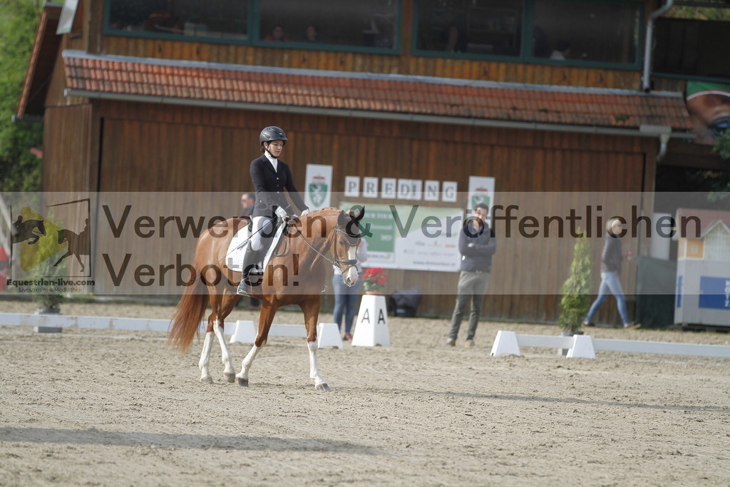 _MG_5813 | equestrian-live-com