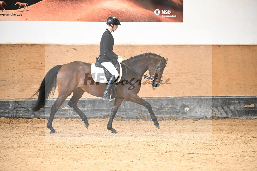 Kat-Nr. 4 Lisl-P v. Fail Deal_Purucker_50250143 | hf-fotografie - Realisiert mit Pictrs.com