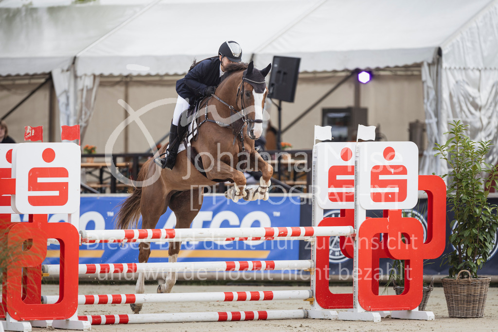 250713_BHO_Spring-WB-518 | Deine schönsten Turniermomente als professionelle Fotos! Entdecke hochwertige Pferdesport-Fotografie im Online-Shop. Jetzt Fotos finden & bestellen!