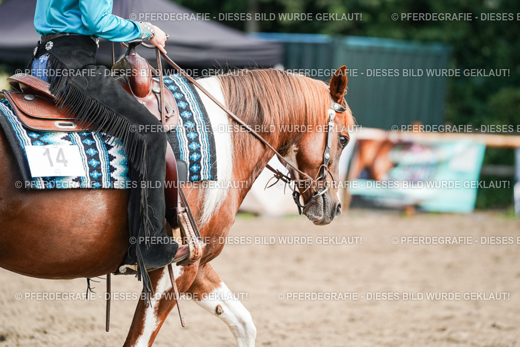 DSC04842 | Pferdegrafie