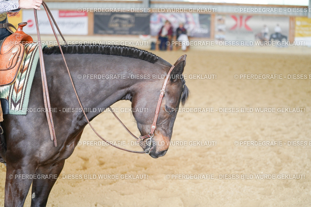 DSC02216 | Pferdegrafie