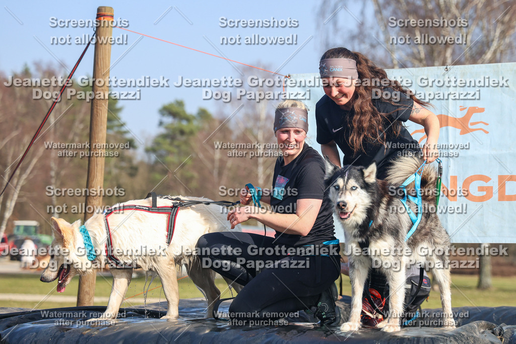 Dog Paparazzi - Strongdog North Mrz26-3111 | Dog Paparazzi Jeanette Grottendiek Fotografie & Videografie - Realisiert mit Pictrs.com